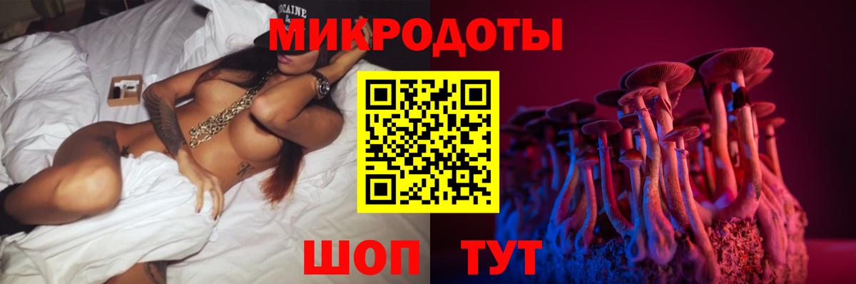 Псилоцибиновые грибы Cubensis Луга
