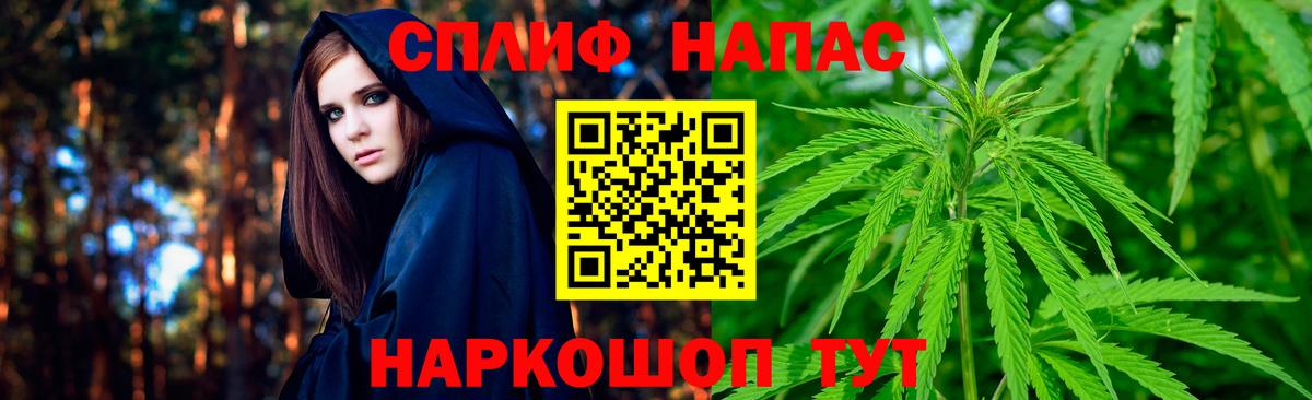 Каннабис MAZAR Луга